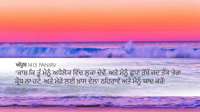 ਅੱਯੂਬ 14:13 PANIRV Bible Verse Image