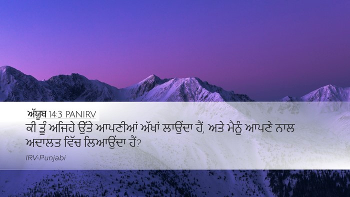 ਅੱਯੂਬ 14:3 PANIRV Bible Verse Image
