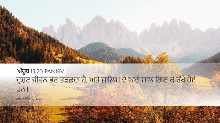 ਅੱਯੂਬ 15:20 PANIRV Bible Verse Image