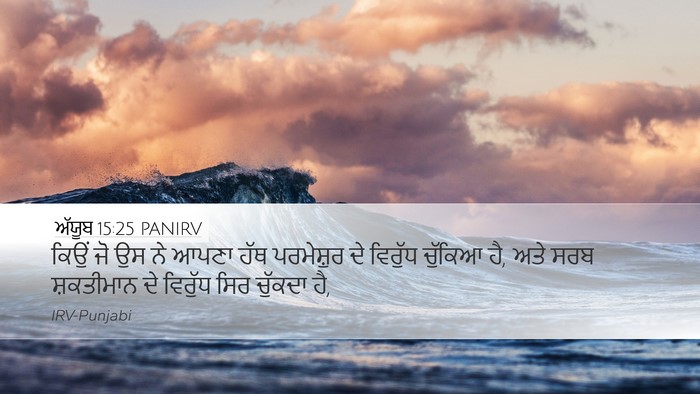 ਅੱਯੂਬ 15:25 PANIRV Bible Verse Image