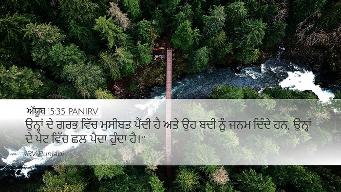 ਅੱਯੂਬ 15:35 PANIRV Bible Verse Image