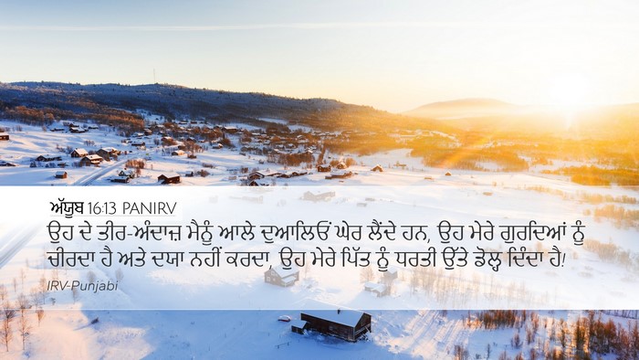 ਅੱਯੂਬ 16:13 PANIRV Bible Verse Image