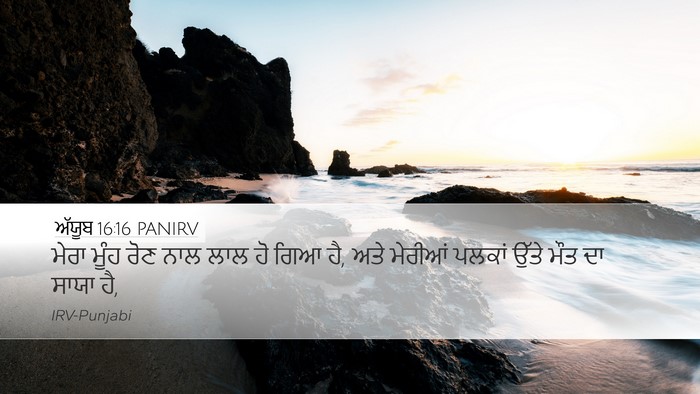 ਅੱਯੂਬ 16:16 PANIRV Bible Verse Image