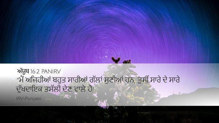 ਅੱਯੂਬ 16:2 PANIRV Bible Verse Image
