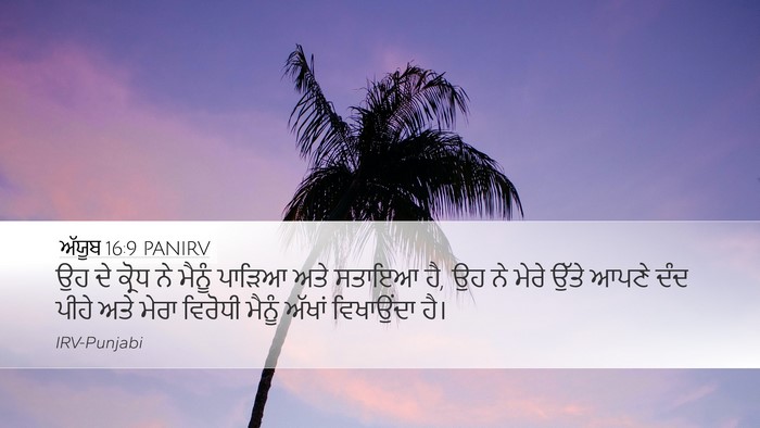 ਅੱਯੂਬ 16:9 PANIRV Bible Verse Image