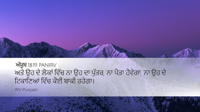 ਅੱਯੂਬ 18:19 PANIRV Bible Verse Image
