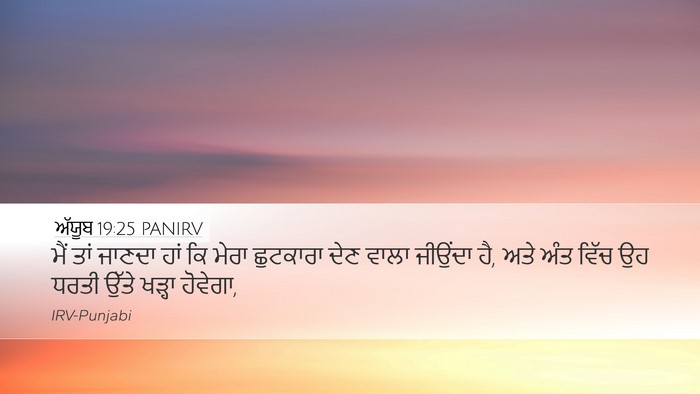 ਅੱਯੂਬ 19:25 PANIRV Bible Verse Image