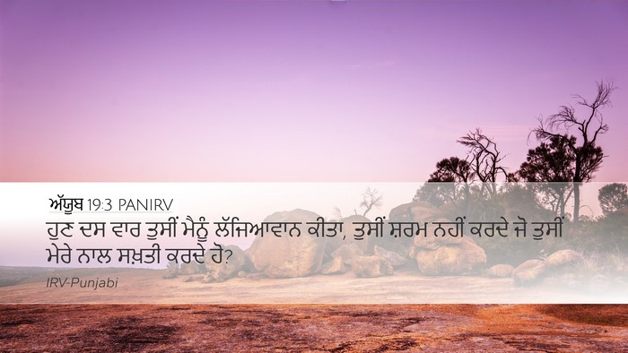 ਅੱਯੂਬ 19:3 PANIRV Bible Verse Image