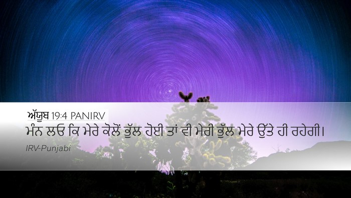ਅੱਯੂਬ 19:4 PANIRV Desktop Wallpaper - ਮੰਨ ਲਓ ਕਿ ਮੇਰੇ - Desktop Bible Verse Wallpaper
