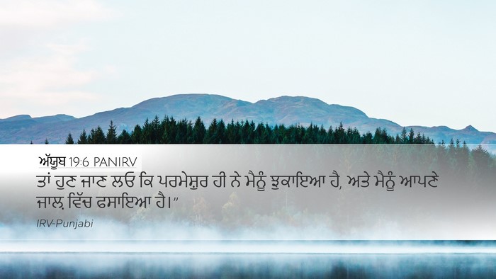 ਅੱਯੂਬ 19:6 PANIRV Bible Verse Image