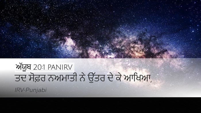 ਅੱਯੂਬ 20:1 PANIRV Bible Verse Image