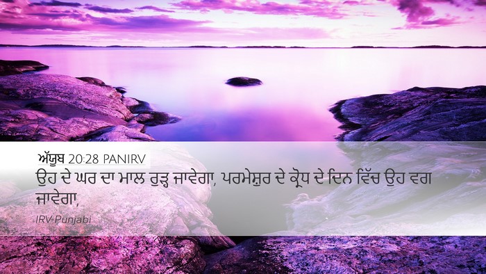 ਅੱਯੂਬ 20:28 PANIRV Bible Verse Image