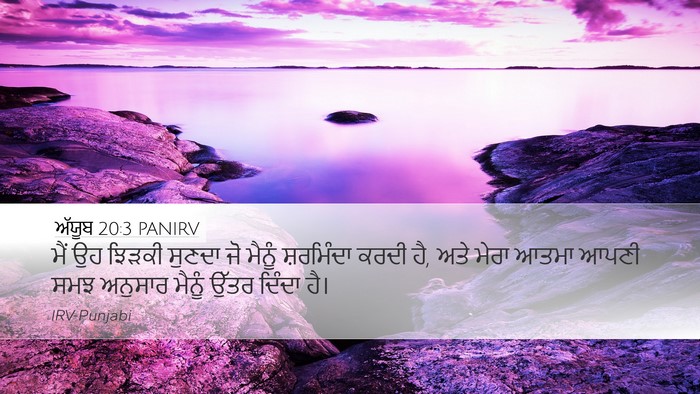 ਅੱਯੂਬ 20:3 PANIRV Bible Verse Image