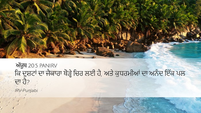 ਅੱਯੂਬ 20:5 PANIRV Bible Verse Image