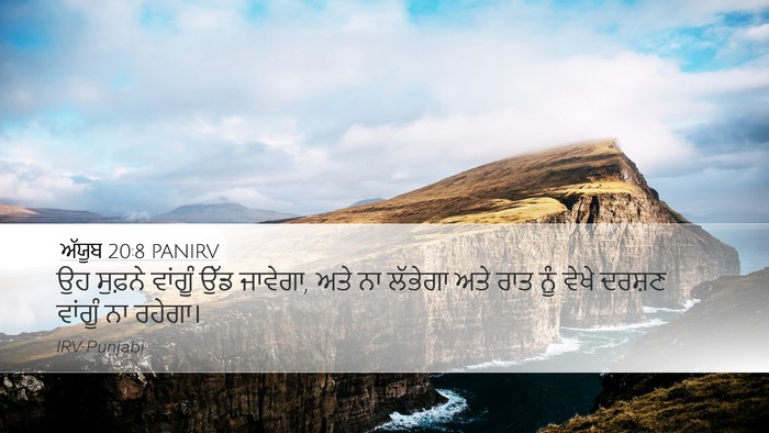 ਅੱਯੂਬ 20:8 PANIRV Bible Verse Image