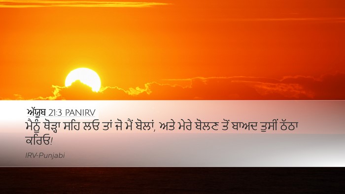 ਅੱਯੂਬ 21:3 PANIRV Bible Verse Image