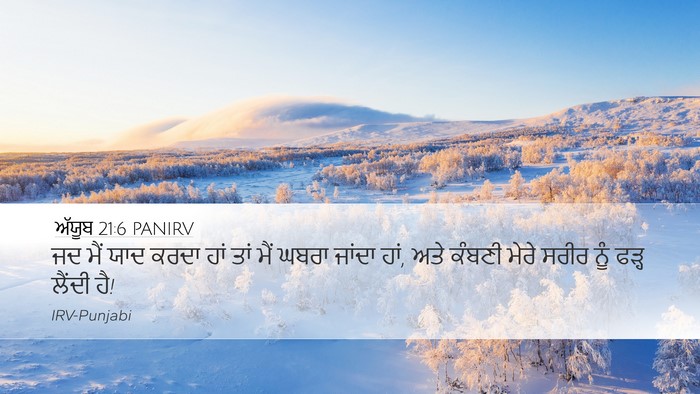 ਅੱਯੂਬ 21:6 PANIRV Bible Verse Image