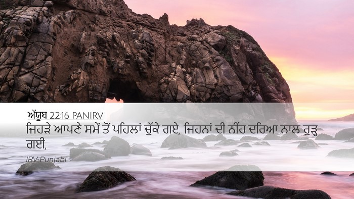ਅੱਯੂਬ 22:16 PANIRV Bible Verse Image