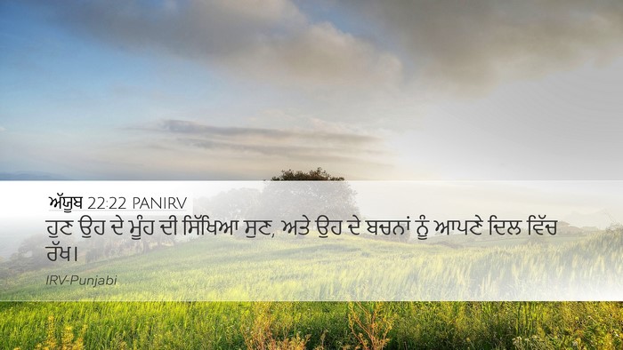 ਅੱਯੂਬ 22:22 PANIRV Bible Verse Image