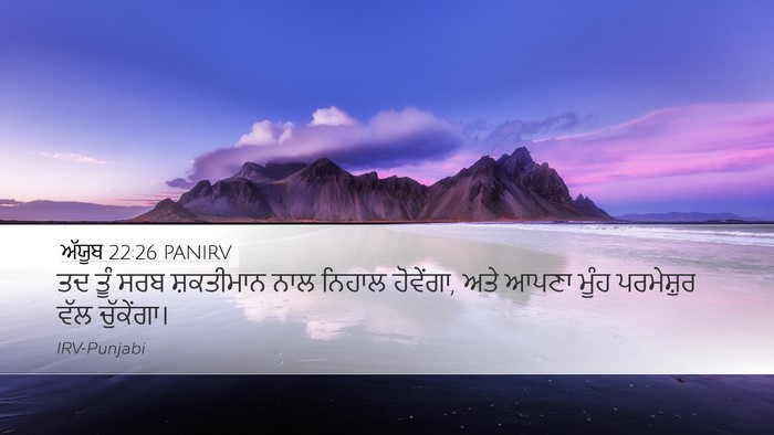 ਅੱਯੂਬ 22:26 PANIRV Bible Verse Image