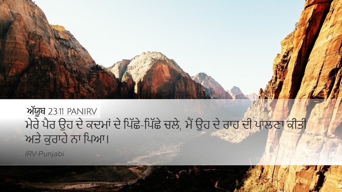 ਅੱਯੂਬ 23:11 PANIRV Bible Verse Image