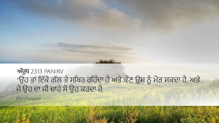 ਅੱਯੂਬ 23:13 PANIRV Bible Verse Image