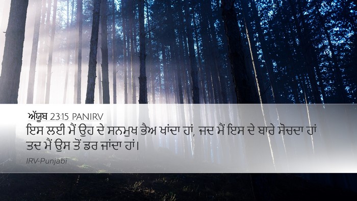 ਅੱਯੂਬ 23:15 PANIRV Bible Verse Image