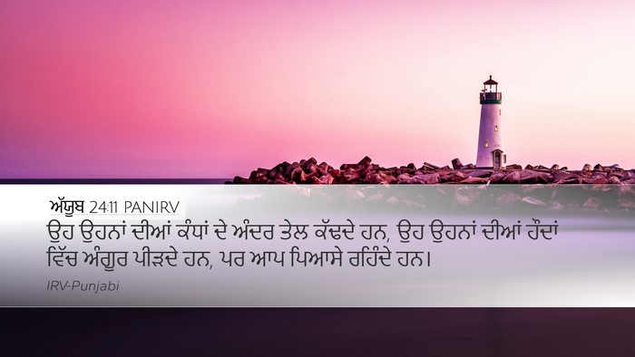 ਅੱਯੂਬ 24:11 PANIRV Bible Verse Image