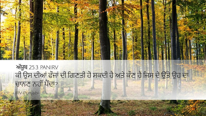 ਅੱਯੂਬ 25:3 PANIRV Bible Verse Image