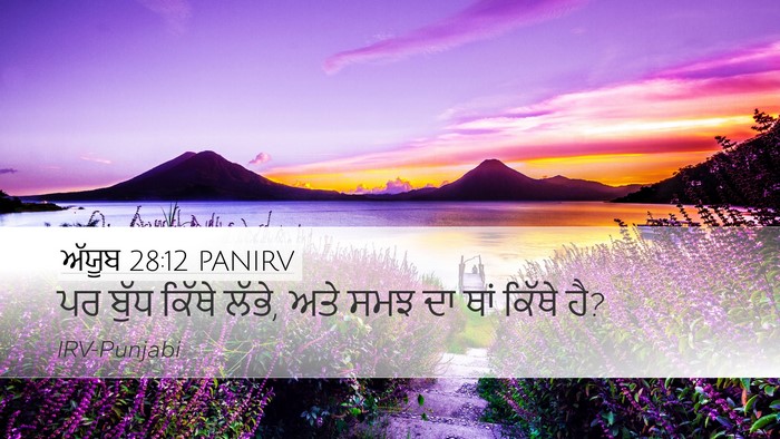 ਅੱਯੂਬ 28:12 PANIRV Bible Verse Image