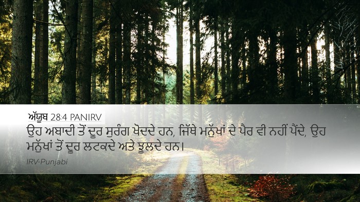 ਅੱਯੂਬ 28:4 PANIRV Desktop Wallpaper - ਉਹ ਅਬਾਦੀ ਤੋਂ ਦੂਰ - Desktop Bible Verse Wallpaper