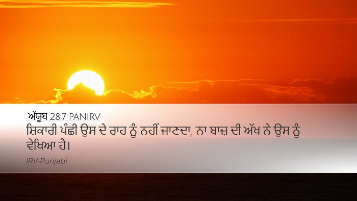 ਅੱਯੂਬ 28:7 PANIRV Desktop Wallpaper - ਸ਼ਿਕਾਰੀ ਪੰਛੀ ਉਸ ਦੇ - Desktop Bible Verse Wallpaper