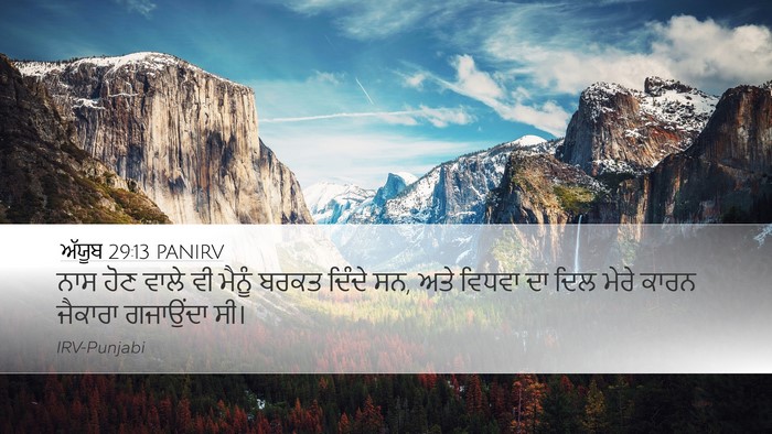 ਅੱਯੂਬ 29:13 PANIRV Bible Verse Image