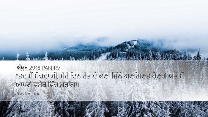 ਅੱਯੂਬ 29:18 PANIRV Bible Verse Image