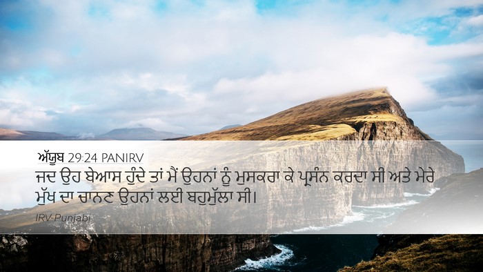 ਅੱਯੂਬ 29:24 PANIRV Bible Verse Image