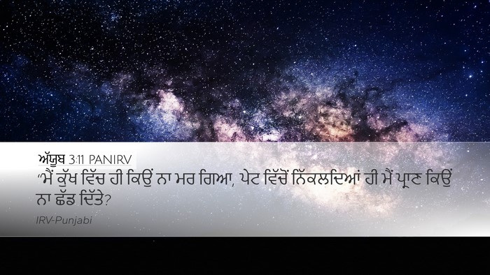 ਅੱਯੂਬ 3:11 PANIRV Bible Verse Image