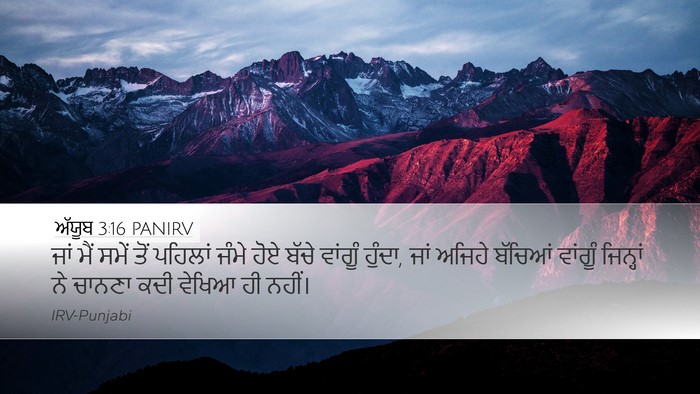ਅੱਯੂਬ 3:16 PANIRV Bible Verse Image