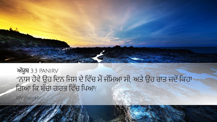 ਅੱਯੂਬ 3:3 PANIRV Bible Verse Image