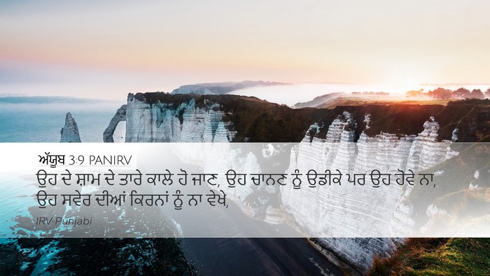ਅੱਯੂਬ 3:9 PANIRV Bible Verse Image