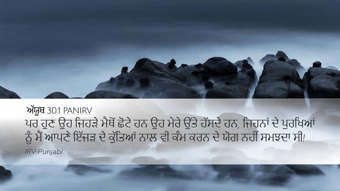 ਅੱਯੂਬ 30:1 PANIRV Bible Verse Image