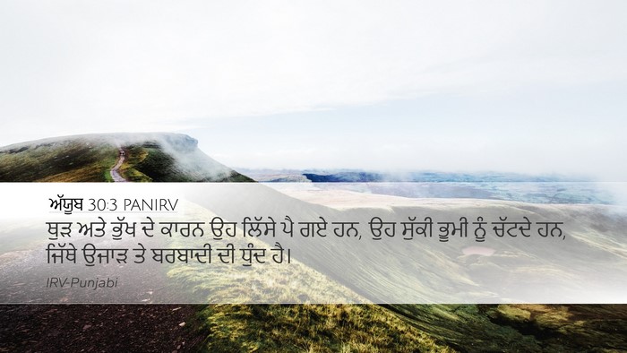 ਅੱਯੂਬ 30:3 PANIRV Bible Verse Image