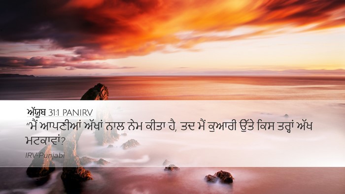 ਅੱਯੂਬ 31:1 PANIRV Bible Verse Image