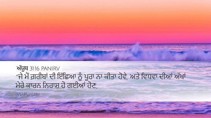 ਅੱਯੂਬ 31:16 PANIRV Bible Verse Image