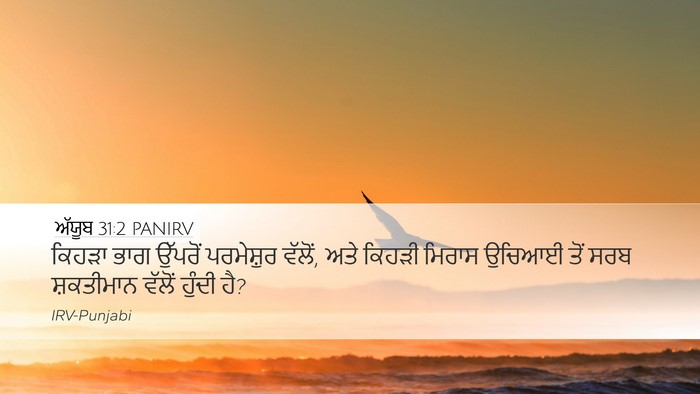 ਅੱਯੂਬ 31:2 PANIRV Bible Verse Image