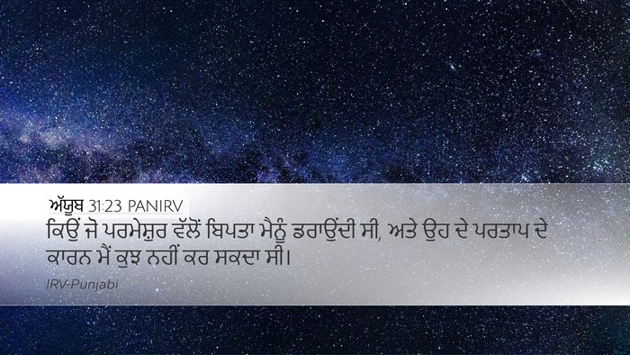 ਅੱਯੂਬ 31:23 PANIRV Bible Verse Image