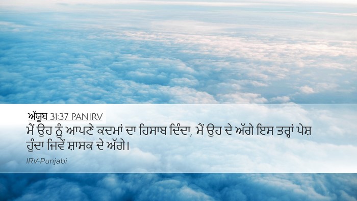 ਅੱਯੂਬ 31:37 PANIRV Bible Verse Image