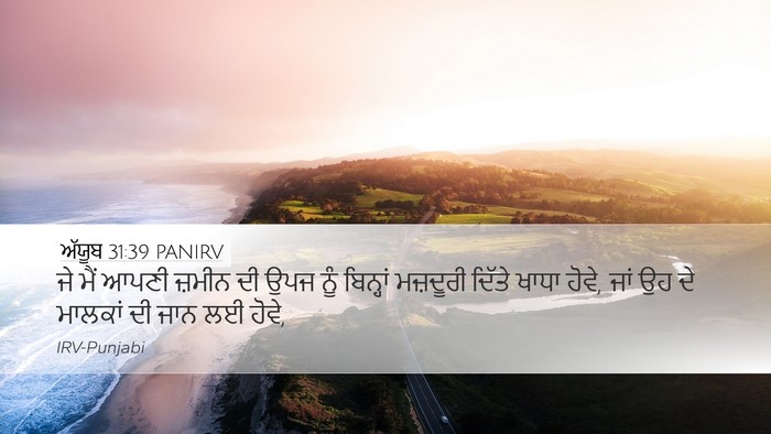 ਅੱਯੂਬ 31:39 PANIRV Bible Verse Image