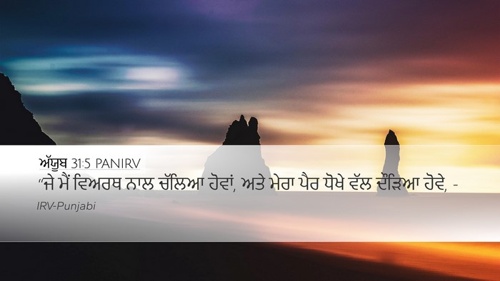 ਅੱਯੂਬ 31:5 PANIRV Bible Verse Image