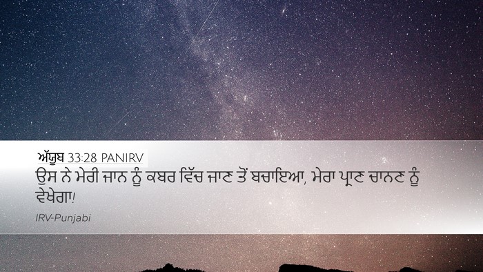 ਅੱਯੂਬ 33:28 PANIRV Bible Verse Image