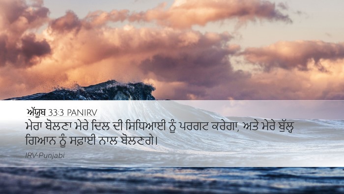 ਅੱਯੂਬ 33:3 PANIRV Bible Verse Image